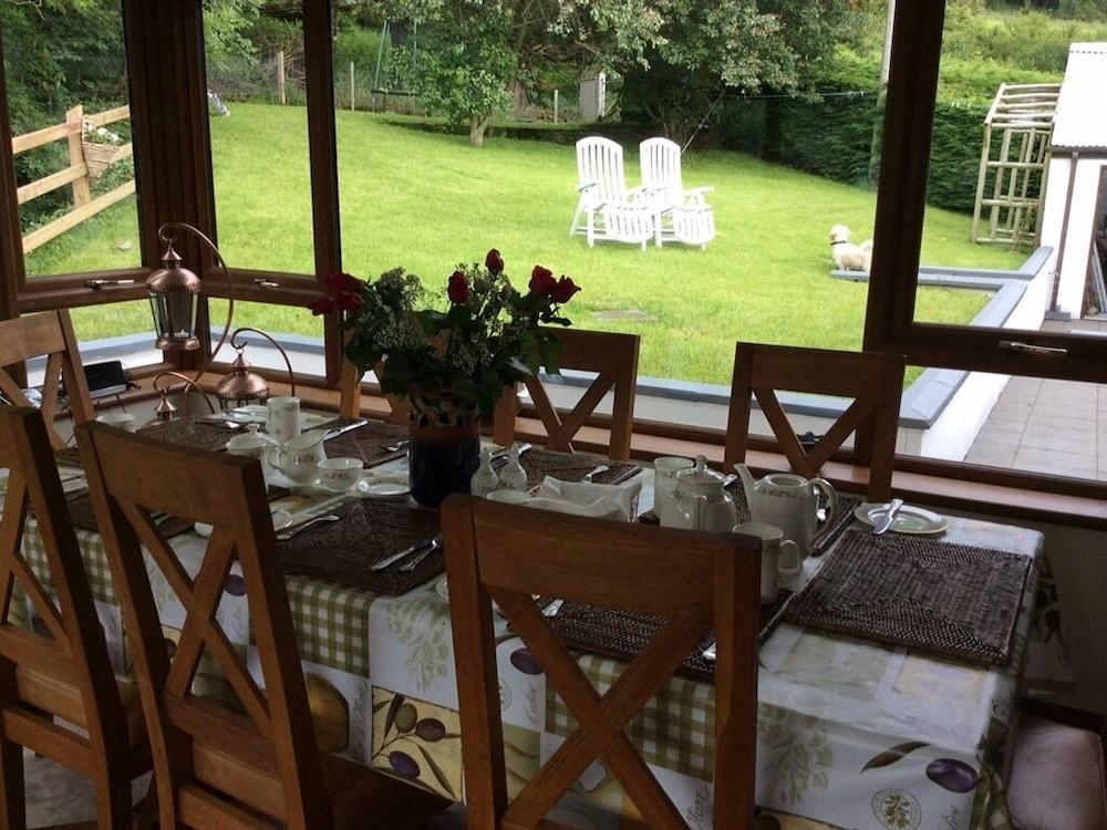 يو آر نيدز هوليدايز أيرلندا أخرى