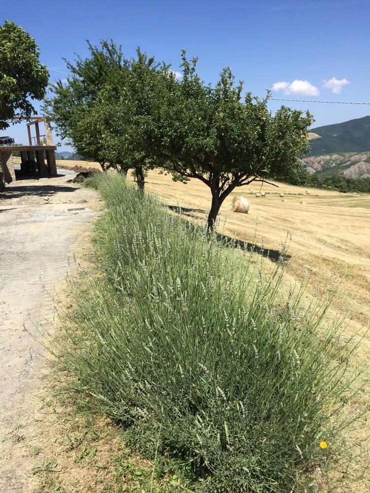 Tenuta Cà di Bertucci Property Grounds