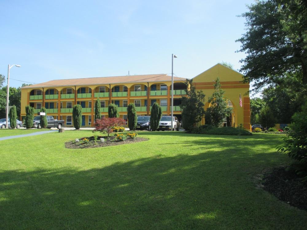 بلوم تري إن