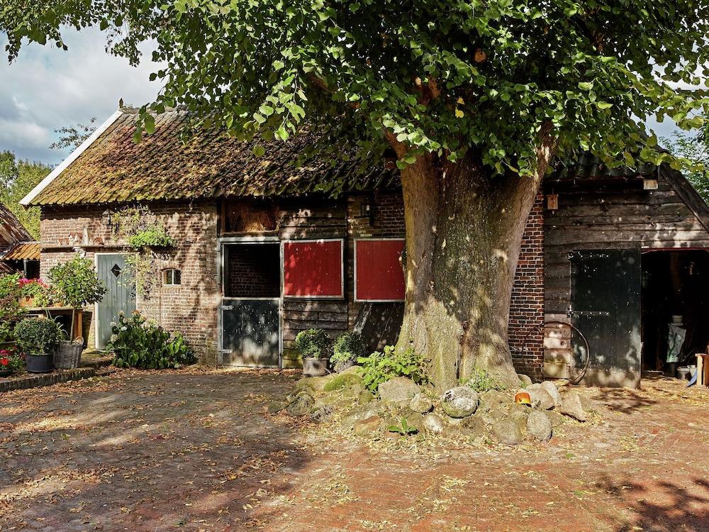 An Atmospheric Guest House on the Grounds of a Farm House in Eexterzandvoort Featured Image