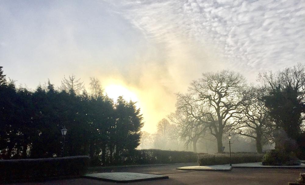 ذا بانتش باول لابورث الصورة الأساسية