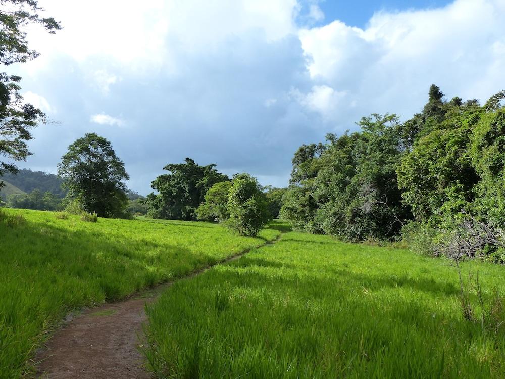 Daintree Valley Haven Others