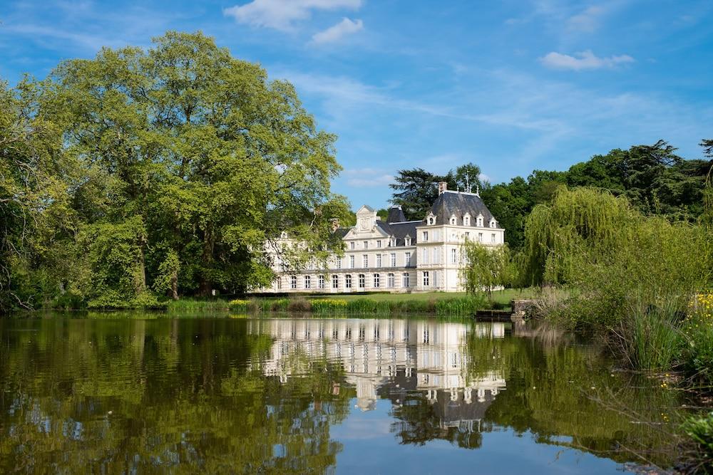 شاتو دو لا بورونيير