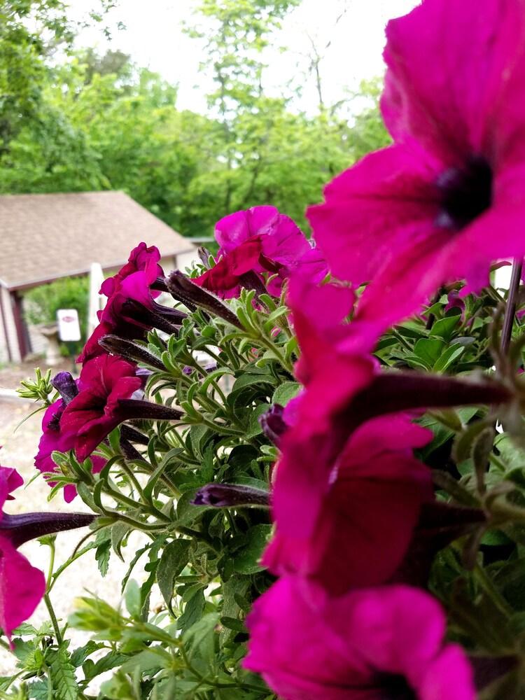 5 Ojo Inn Bed and Breakfast Exterior