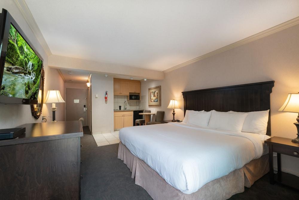 Prestige Inn Nelson Room