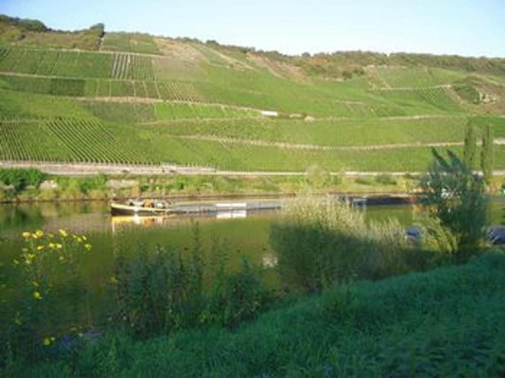 هوتل فاينهاوس فايس المنطقة المحيطة بالمنشأة