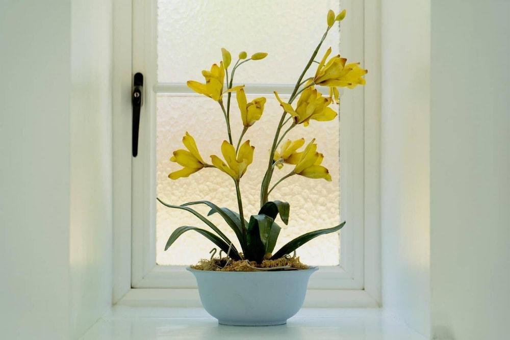 ستريلنا كوتش هاوس - جايتواي تو ذا مور غرفة