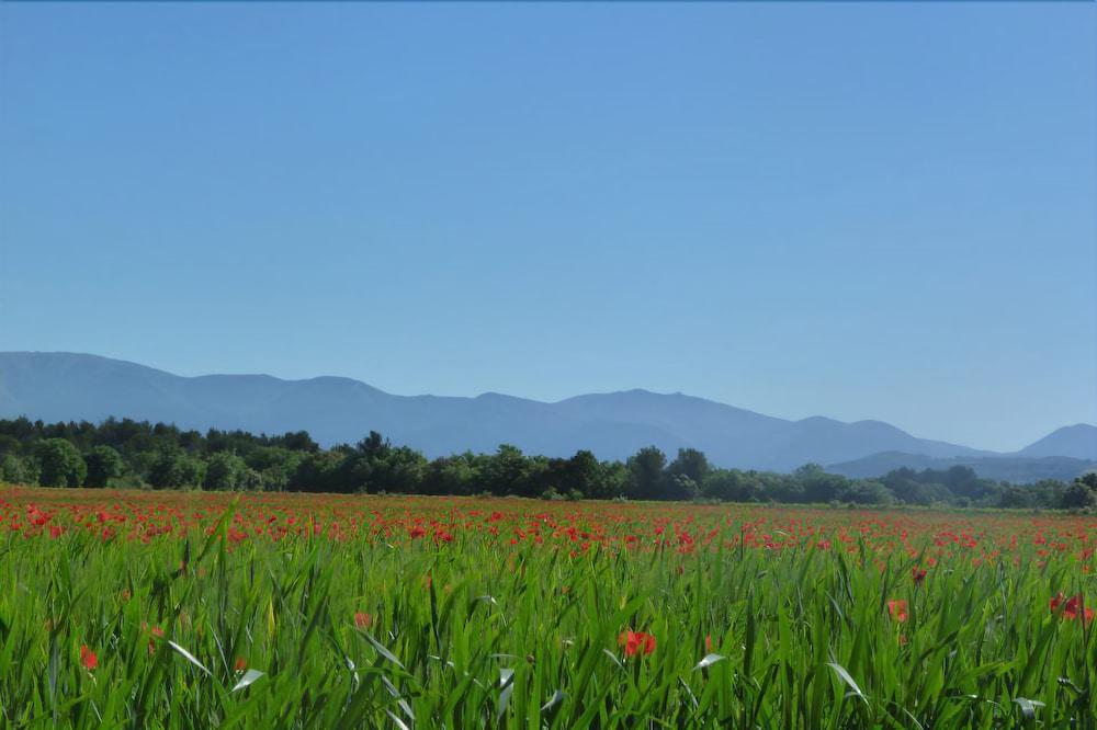 لودجيز أون بروفينس - كارافان بارك المنطقة المحيطة بالمنشأة