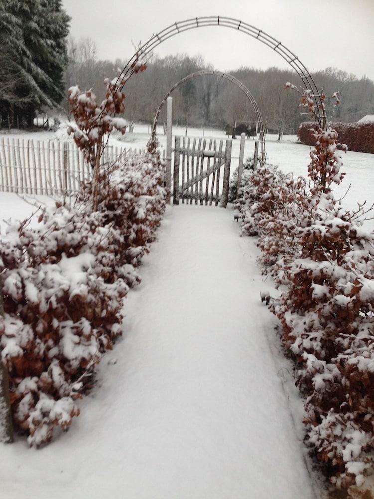 بد آند بريكفاست سيلينتيوم المنطقة المحيطة بالمنشأة