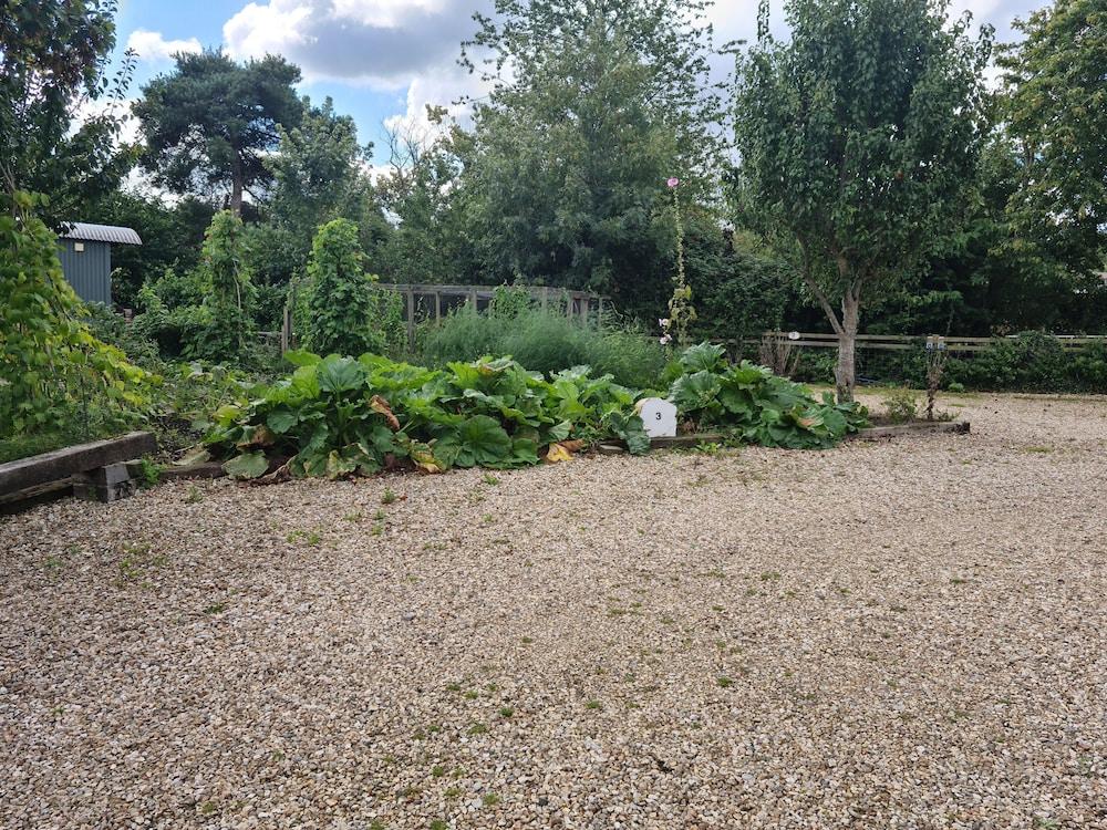 ذا ماسونز آرمز المنطقة الخارجية