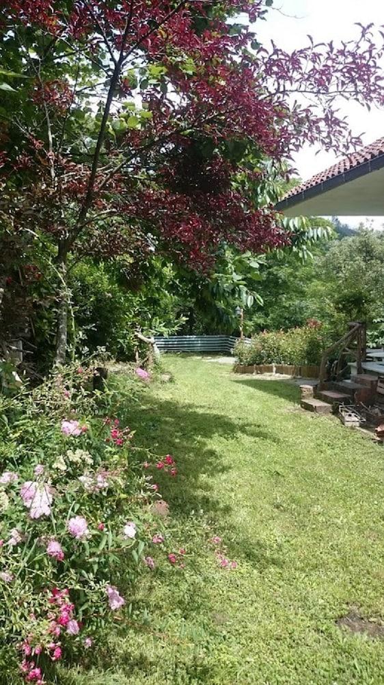 سي ليفانتو آند سينكو تيري كالم، كول، فريدوم ،ور تشيلدرين آند بيت باركينج