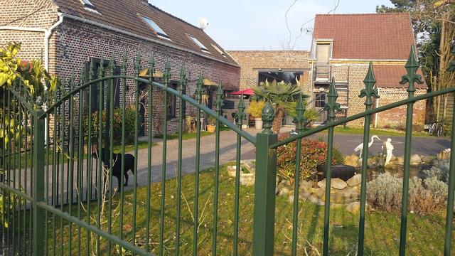 سوكري دون نيوي