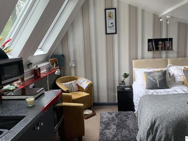 ففوس إي ففين- أسينسيون إن فيلدز