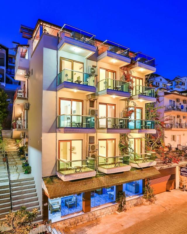 أنتي فيلوس بانسيون