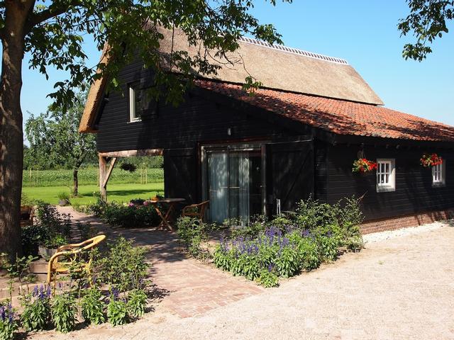 دين هيجكانت