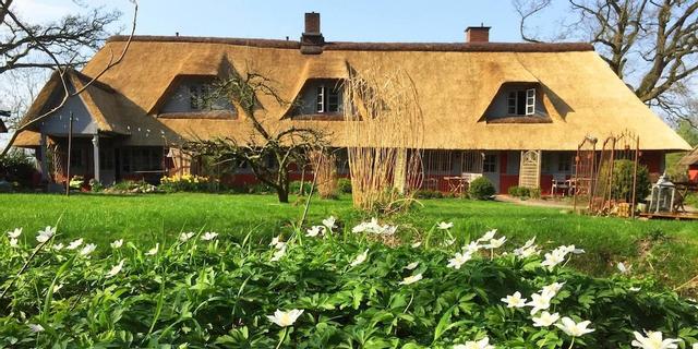 فيجيكاتن - فيرينفونونجن أونتر ريت