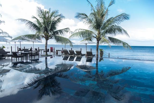 ذا بالمي ريزورت فو كوك آند سبا