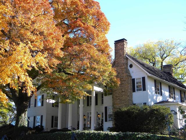 Black Horse Inn
