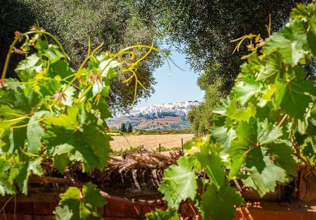 لا كاسا ديل توريرو