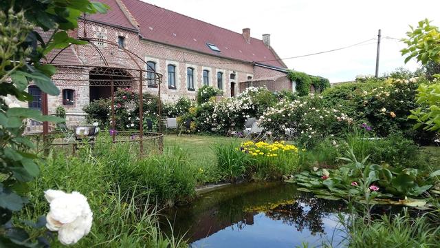 لا روز لاتير