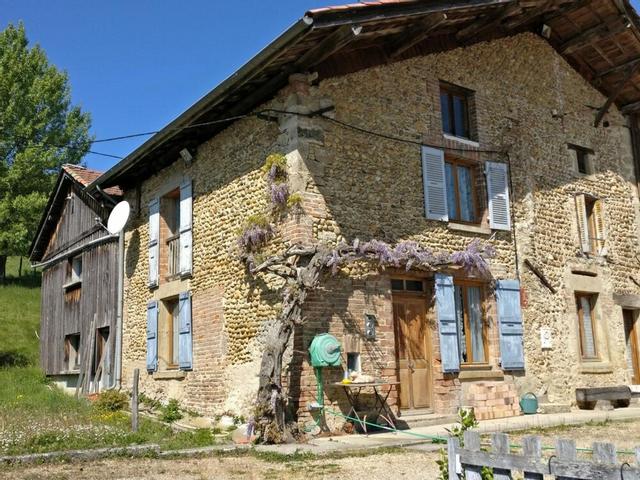 Alpagas Du Domaine Mael